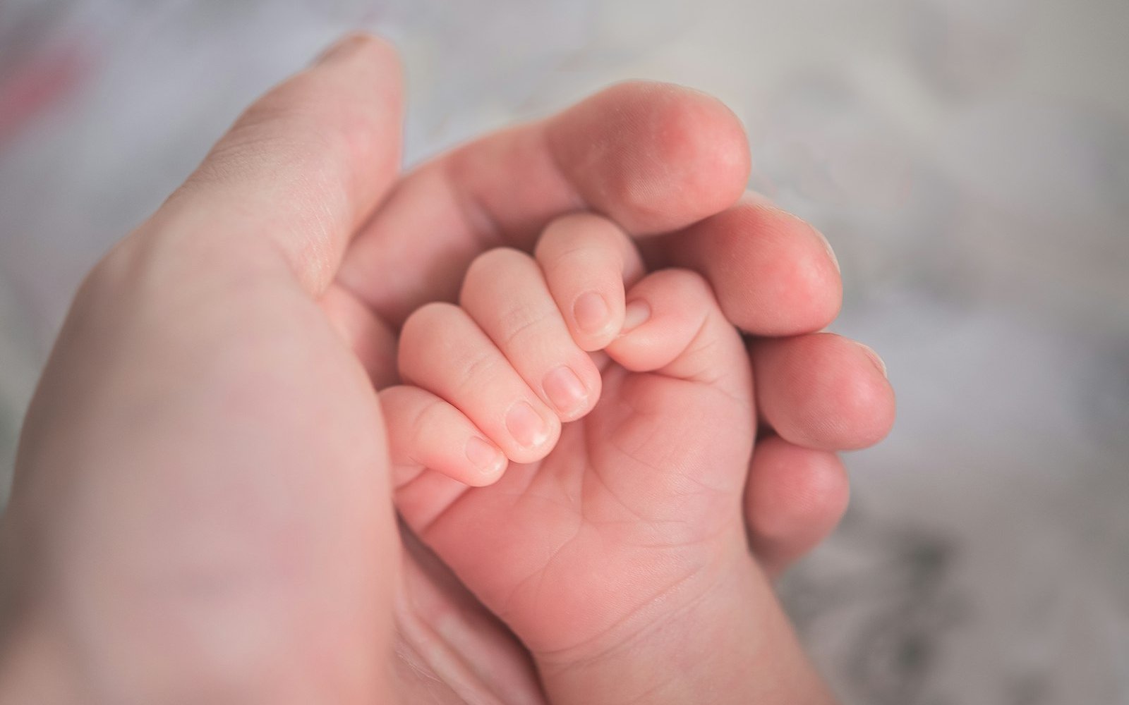 Parent's hand holding a child's hand, representing LGBTQ+ adoption in Colombia